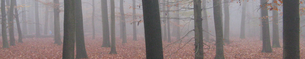 Wekom bij de familie Vizzini