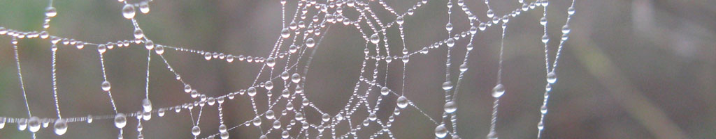 Wekom bij de familie Vizzini