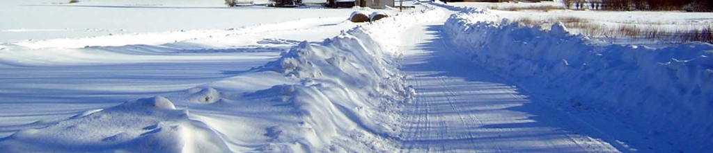 Wekom bij de familie Vizzini